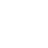 ic dns white 48dp