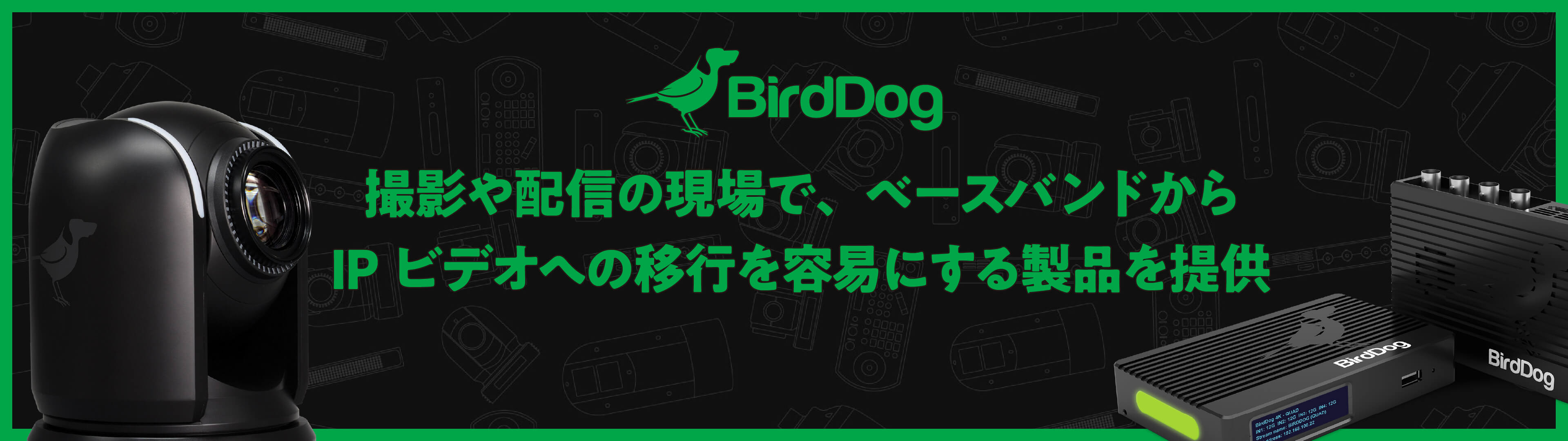 03 BirdDog 2