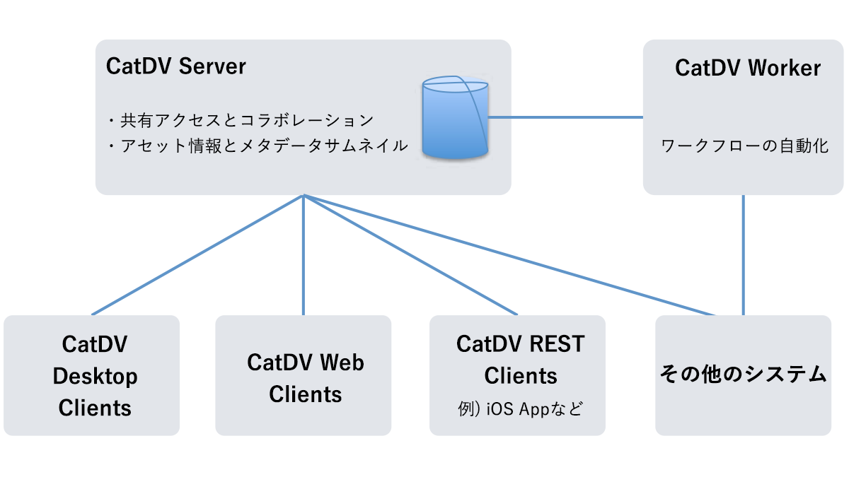 catdv Components