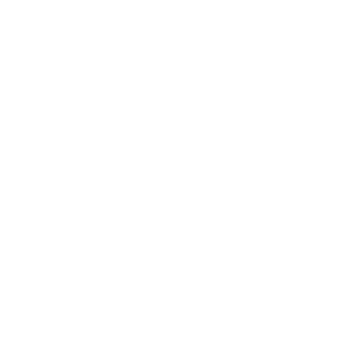 logo ex white min